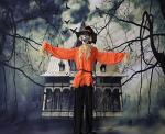 Animated Skeleton Scarecrow for Indoor/Outdoor Halloween Decor