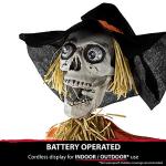 Animated Skeleton Scarecrow for Indoor/Outdoor Halloween Decor