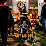 Screaming Skeleton with Motion Sensor & Sound