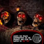 Grim Reaper Animatronic Skull Pathway Markers (3 Pack)