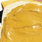 Adult Peanut Butter and Jelly Costume Standard