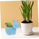Hippo Whale Succulent Planter for Home Decor