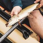 Pelican Adjustable Fiberglass Kayak Fishing Paddle 98.5