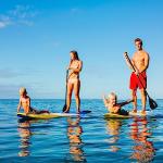 Overmont Adjustable Carbon Fiber Dragon Boat Paddle