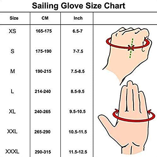 Dragonboat Paddles for Men & Women - Short Finger Gloves