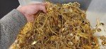 Gold Plated Jewelry Scrap for Electroplating Recovery