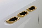 Universal Chrome Plater Kit with 8oz Gold