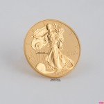 24k Gold Plating Kit with Liquids Included
