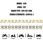 Gold Plated DYC 420 Motorcycle Chain Kit