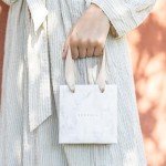 Sterling Silver Interlocking Circle Necklace for Sisters