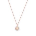 Electroplating Kit: Champagne Rose Gold Necklace