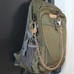 Gold Wallet Chain with Double Lock Carabiner