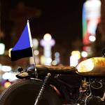 Universal Motorcycle Flag Pole Holder Kit
