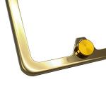 Custom Laser Etched License Plate Frame - Gold