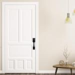 Matte Black Front Door Handle Kit