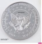 Digital Electroplating Kit for Gold, Chrome, Silver & More