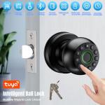 Fingerprint Smart Door Lock with APP Control