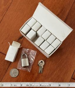 Set of 12 Small Stainless Steel Padlocks