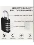 Bulk 100 Pack 4-Digit Combination Locks