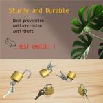 Keyed Metal Luggage Locks for Travel - 6 Pack