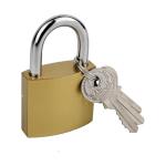 Small Keyed Padlock for Gym and Toolbox