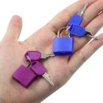 Bonsicoky 6 Pack Colorful Luggage Padlocks with Keys