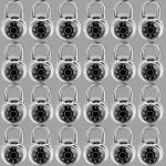 24 Pack Weatherproof Dial Combination Padlocks
