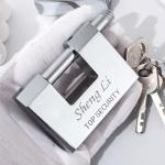 Heavy Duty Stainless Steel D-Shaped Padlock