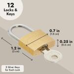 12 Mini Padlocks with Keys in Gold and Silver