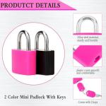 Mini Key Locks with Keys for Luggage & More