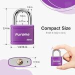 Puroma 2 Pack Heavy-Duty Keyed Padlocks