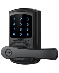 Keyless Electronic Door Lock with Touchscreen Keypad