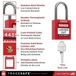 10 Red Lockout Tagout Locks Set - Keyed Different