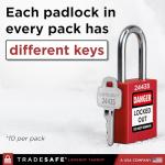 10 Red Lockout Tagout Locks Set - Keyed Different