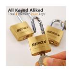 SEPOX® 36-Piece Solid Brass Padlock Set