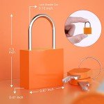 Multicolor Small Keyed Locks for Travel & Storage