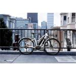 ABUS Steel-O-Chain 9809K Unpickable Bike Lock