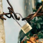 SEPOX® 4 Heavy-Duty Brass Padlocks - 2-5/8