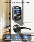 Veise Keyless Entry Smart Door Lock Set, Matte Black