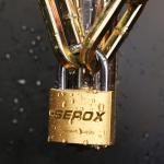 SEPOX® 3 Pack Heavy-Duty Brass Padlocks
