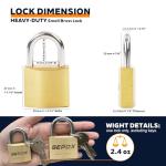 SEPOX Twins Brass Padlock with 4 Keys