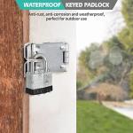 Set of 12 Keyed Alike Nickel Padlocks