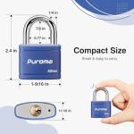 Puroma Heavy-Duty Keyed Padlock - 2 Pack