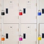 Fantye Metal Travel Locks Set - 6 Colors