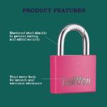 Guliffen Aluminum Locker Locks with Keys - 2 Pack