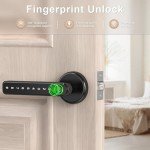 Digital Keyless Door Lock with Handle (F190)