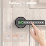 Digital Keyless Door Lock with Handle (F190)