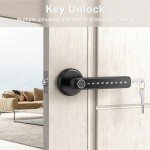 Digital Keyless Door Lock with Handle (F190)