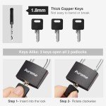 Puroma 2-Pack Keyed Padlocks with 3 Alike Keys