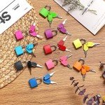 Mini Metal Luggage Locks with Keys - Multicolor